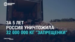 Ответные санкции для Запада: как россиянам о них рассказывали в 2014 году (видео)