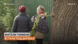 В Тюмени люди живут в палатках под деревьями, чтобы спасти их от сноса