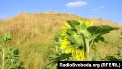 Ученые называют курганы ровесниками египетских пирамид