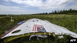 На месте сбивания самолета рейса MH17 (архивное фото)