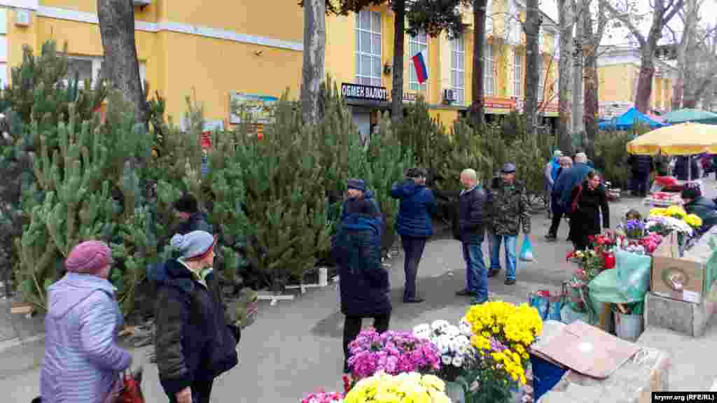 В Ялте, в зависимости от высоты и пушистости дерева, цены на ели и сосны колеблются от 500 до 2000 рублей (от 210 до 840 грн)