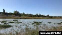 Обмелевшее Белогорское водохранилище