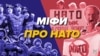 Мифы о НАТО, работающие на руку России (видео)