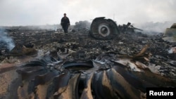 Обломки малайзийского самолета MH-17 возле села Грабово. 17 июля 2014 года